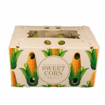 Reusable Corrugated Plastic Box for Fruit Packaging