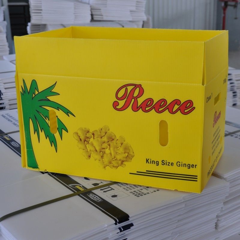 Vegetable Corrugated Plastic Packaging Coroplast Reusable Corrugated Boxes