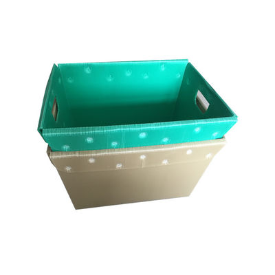 جعبه پلاستیکی راه راه پلی پروپیلن چاپ سفارشی