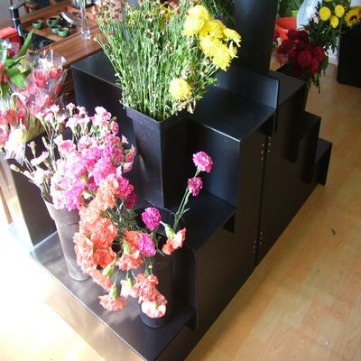 پایه نمایشگر گل تازه کورفلوت 5 میلی متری مشکی برای باغ خانه