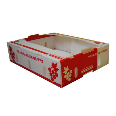 حفظ طراوت جعبه راه راه کورفلوت Mango