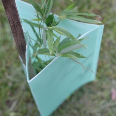 محافظ های پلاستیکی تنه درخت 2 میلی متری کورفلوت Tree Guards Triangle Tree Tree Guards