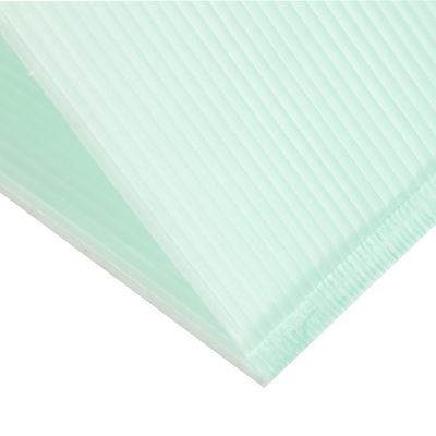 ضخامت 2mm 3mm کورفلوت Plant Guards مقاوم در برابر UV کورفلوت Guards