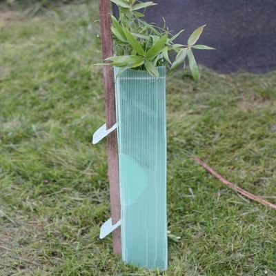 محافظ 3 میلی متری سبز پلاستیکی Corflute Tree Guards محافظ UV ضد آب