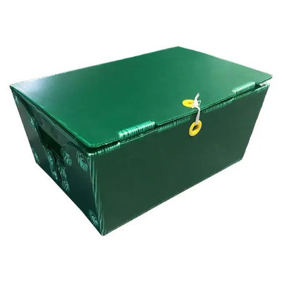 جعبه های پلاستیکی راه راه پلی پروپیلن پستی پستی سطل های صلب و سفارشی با دسته