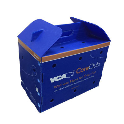 Food safe Fruit Packaging Box made from polypropylene material offering waterproof and anti impact features for fruit shipping solutions