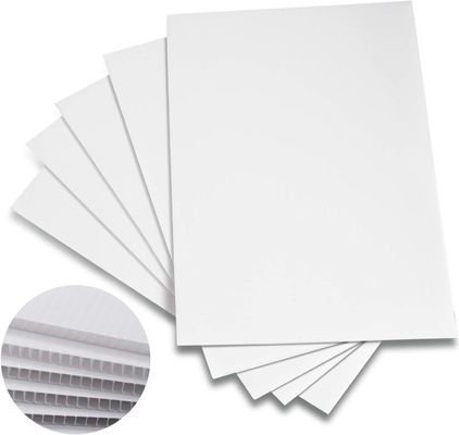 ورق پلاستیکی لوله دار PP Corflute Board تاشو قابل تاشو سبک سفارشی ماندگار
