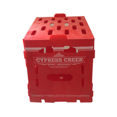 جعبه بسته بندی میوه های پلاستیکی PP Coroplast Box سفارشی بازیافت