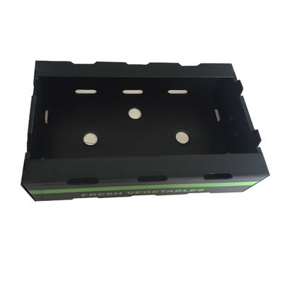 جعبه بسته بندی میوه های پلاستیکی PP Coroplast Box سفارشی بازیافت