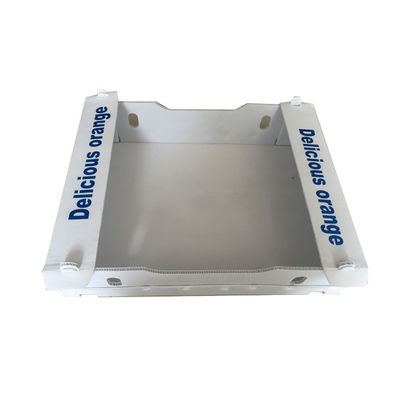 جعبه بسته بندی میوه های پلاستیکی PP Coroplast Box سفارشی بازیافت