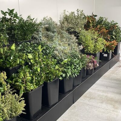 Flower Shop Display Stand Foldable Multi Layer PP Plastic Plant Rack 10mm Thick Waterproof Lightweight Durable Retail Floral Display Shelf for Garden Center Nursery Shop Use Custom Size Manufacturer