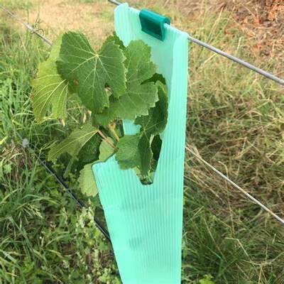 PP Tree Guard سبک وزن، با دوام، ضد آب و نصب آسان است. آن از درختان جوان در برابر باد، حیوانات و آسیب ها محافظت می کند، با اندازه، رنگ، ضخامت و طرح های سفارشی.